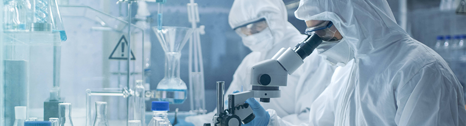 R&D and samples